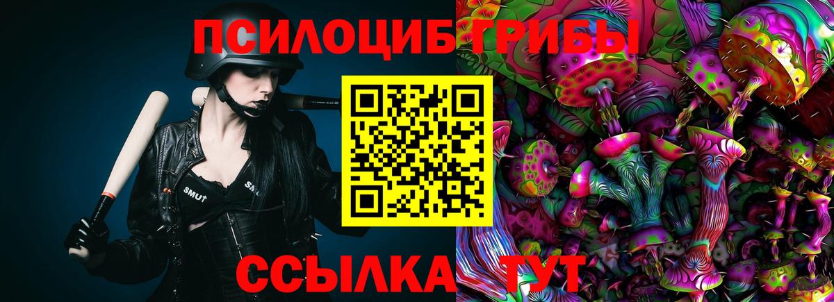 Дедовск  продажа наркотиков  Вход с VPN  Галлюциногенные грибы Psilocybine cubensis 